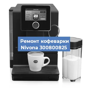 Ремонт капучинатора на кофемашине Nivona 300800825 в Краснодаре